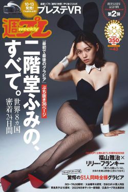 电视剧掌门女婿